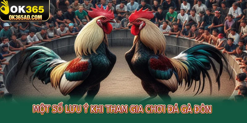 Một số lưu ý khi tham gia chơi đá gà đòn 